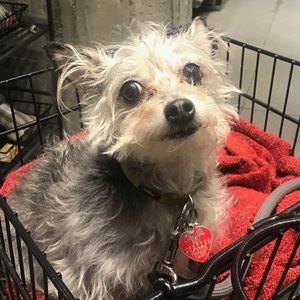 Meet your Posher, Anna